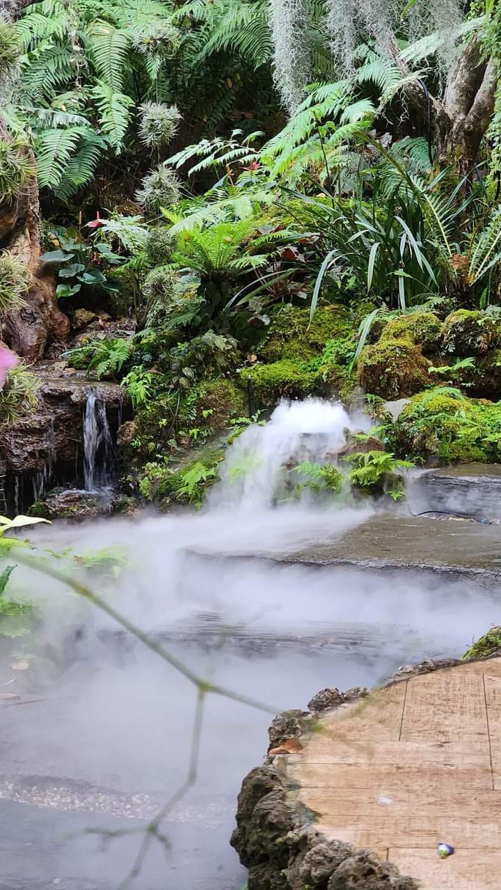 san-vuon-nhiet-doi-đep